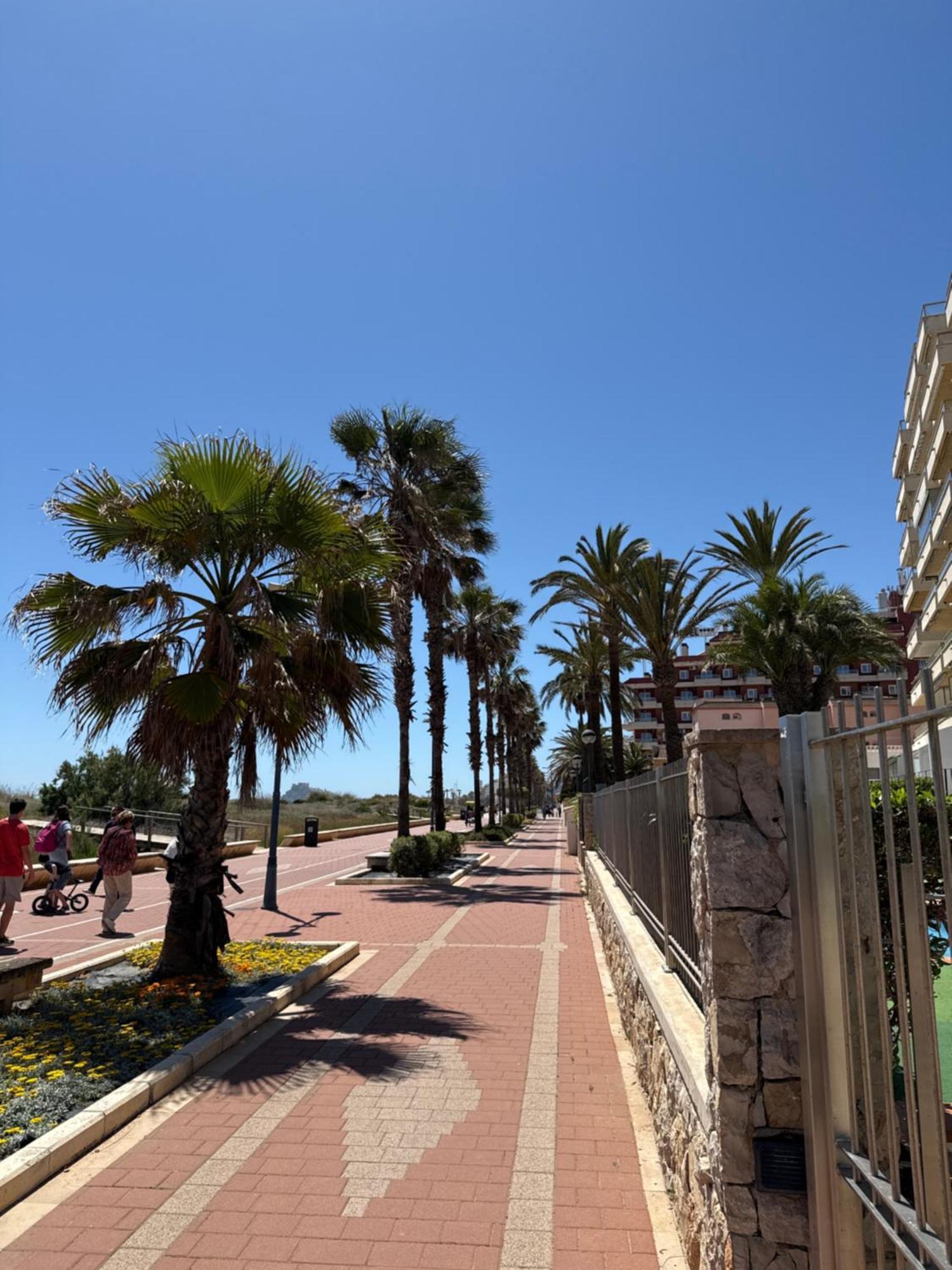 Fantastico Apartamento Con Vistas Al Mar Peñíscola Eksteriør bilde